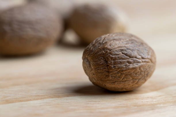 nutmeg-47 (1)-6171529-12555.jpg